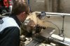 spindle turning in lathe.jpg
