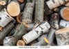 stock-photo-big-pile-of-firewood-fresh-aspen-and-birch-chocks-lay-outdoor-273710069.jpg