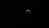 IMG_7271 Lunar Eclipse.JPG