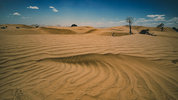 dune10.jpg